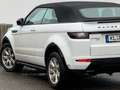 Land Rover Range Rover Evoque Cabrio TD4 HSE Dynamic Weiß - thumbnail 3