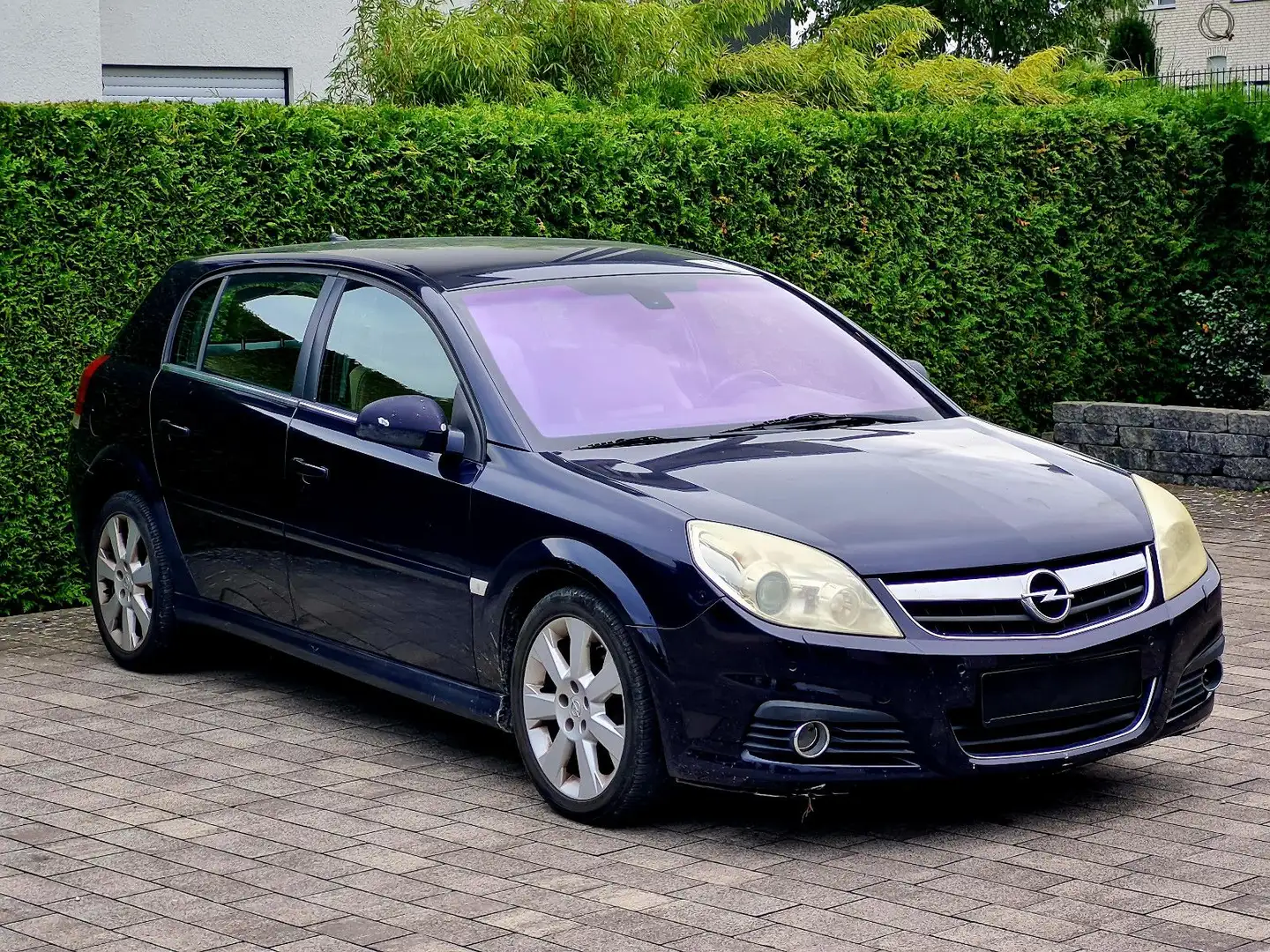 Opel Signum Cosmo Automatik (AHK, Bi-Xenon, Navi) Blau - 1