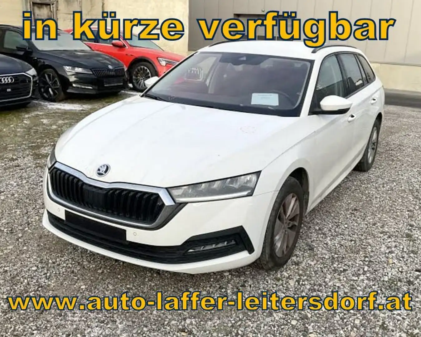 Skoda Octavia Kombi DSG **AHV**LED** Weiß - 1