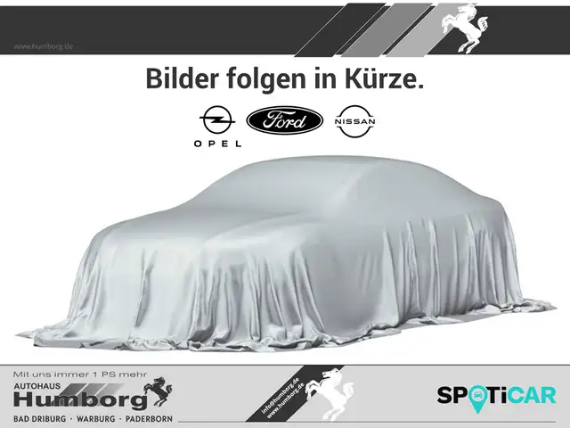 Opel Combo-e Cargo Basis XL PDC Klimaautom Musikstreaming DAB F