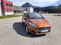 Ford Fiesta Fiesta Titanium 1,0 Start/Stop Titanium Start/Stop Braun - thumbnail 1