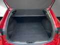 Mazda 6 Sports-Line Bluetooth Klima Einparkhilfe Rot - thumbnail 14