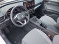 SEAT Leon Style Edition 1.5 TSI 115 PS Weiß - thumbnail 8