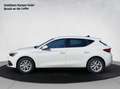 SEAT Leon Style Edition 1.5 TSI 115 PS Weiß - thumbnail 2
