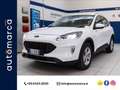 Ford Kuga 2.5 phev Connect 2wd 225cv e-shifter Bianco - thumbnail 1