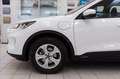 Ford Kuga 2.5 phev Connect 2wd 225cv e-shifter Bianco - thumbnail 7
