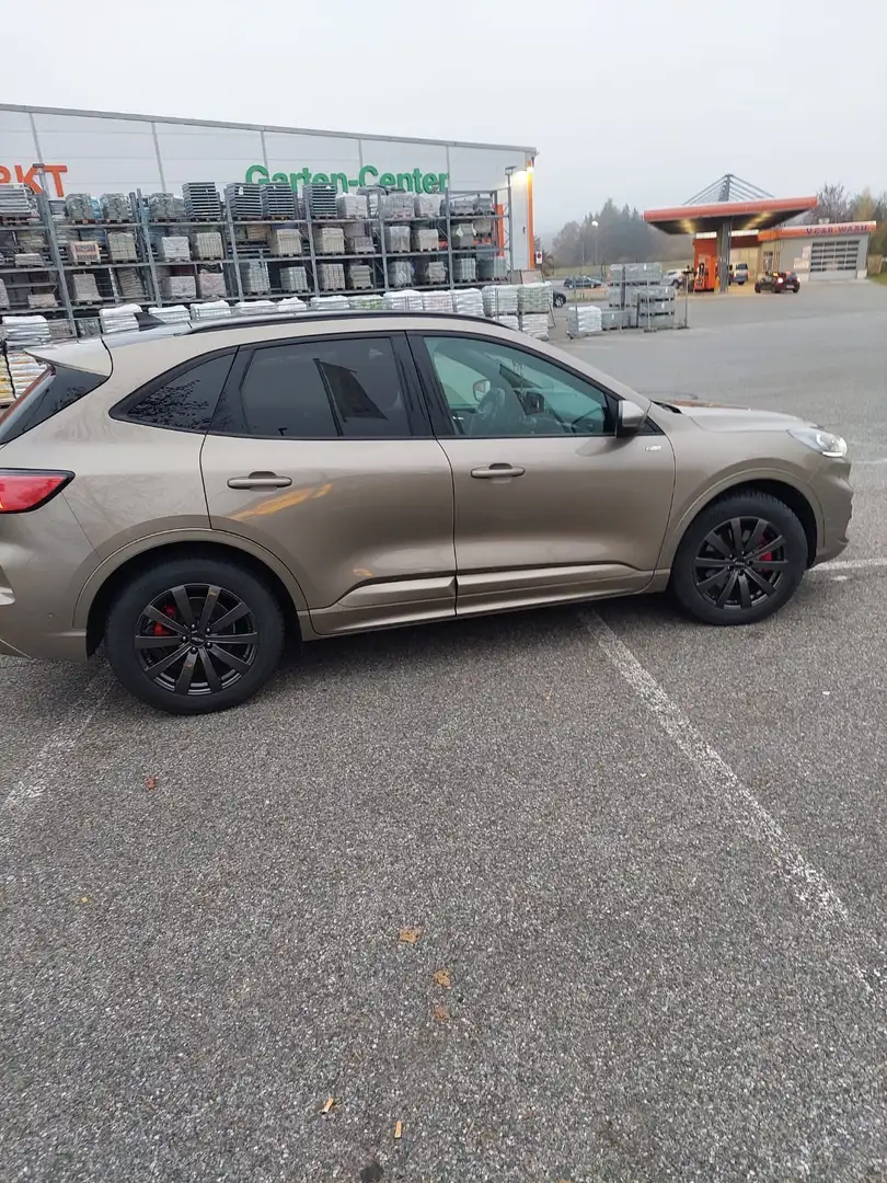 Ford Kuga Plug-In Hybrid ST-Line X Grau - 2