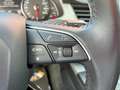 Audi Q7 3.0TDI ultra Q. tiptronic 160kW(9.75) Blanco - thumbnail 18