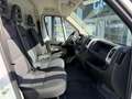 Fiat Ducato Maxi 35 L4H2 150 *MWST* Weiß - thumbnail 14