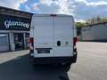 Fiat Ducato Maxi 35 L4H2 150 *MWST* Weiß - thumbnail 5