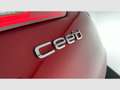Kia Ceed / cee'd 1.4CRDI WGT Concept 90 Rojo - thumbnail 22