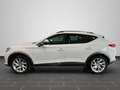 CUPRA Formentor 1.4 e-hybrid DSG AHK Weiß - thumbnail 7