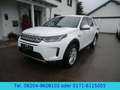 Land Rover Discovery Sport Hybrid 227kw  AHK / SR+WR / 4WD Weiß - thumbnail 8
