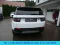 Land Rover Discovery Sport Hybrid 227 kw  AHK / SR+WR / 4WD Blanc - thumbnail 11
