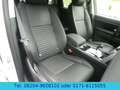 Land Rover Discovery Sport Hybrid 227kw  AHK / SR+WR / 4WD Weiß - thumbnail 15