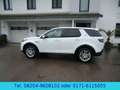 Land Rover Discovery Sport Hybrid 227kw  AHK / SR+WR / 4WD Weiß - thumbnail 13