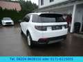 Land Rover Discovery Sport Hybrid 227kw  AHK / SR+WR / 4WD Weiß - thumbnail 12