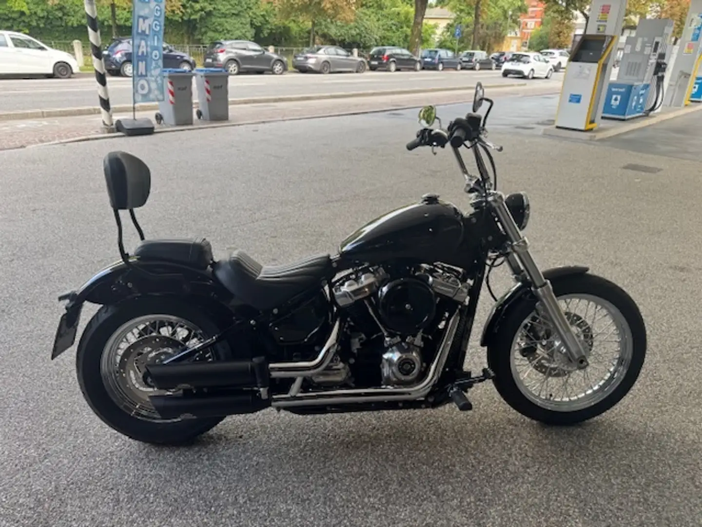 Harley-Davidson Softail STANDARD 107 - 1