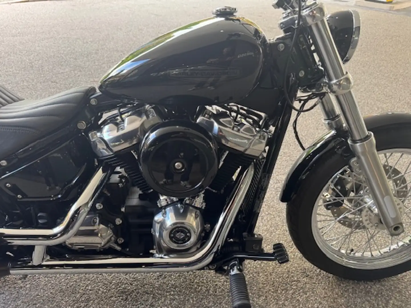 Harley-Davidson Softail STANDARD 107 - 2