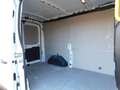 Ford Transit Kasten 330 L2 Trend Garantie bis 09/26 Weiß - thumbnail 11