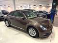 Volkswagen Beetle 2.0 TDI 140cv Design Braun - thumbnail 8