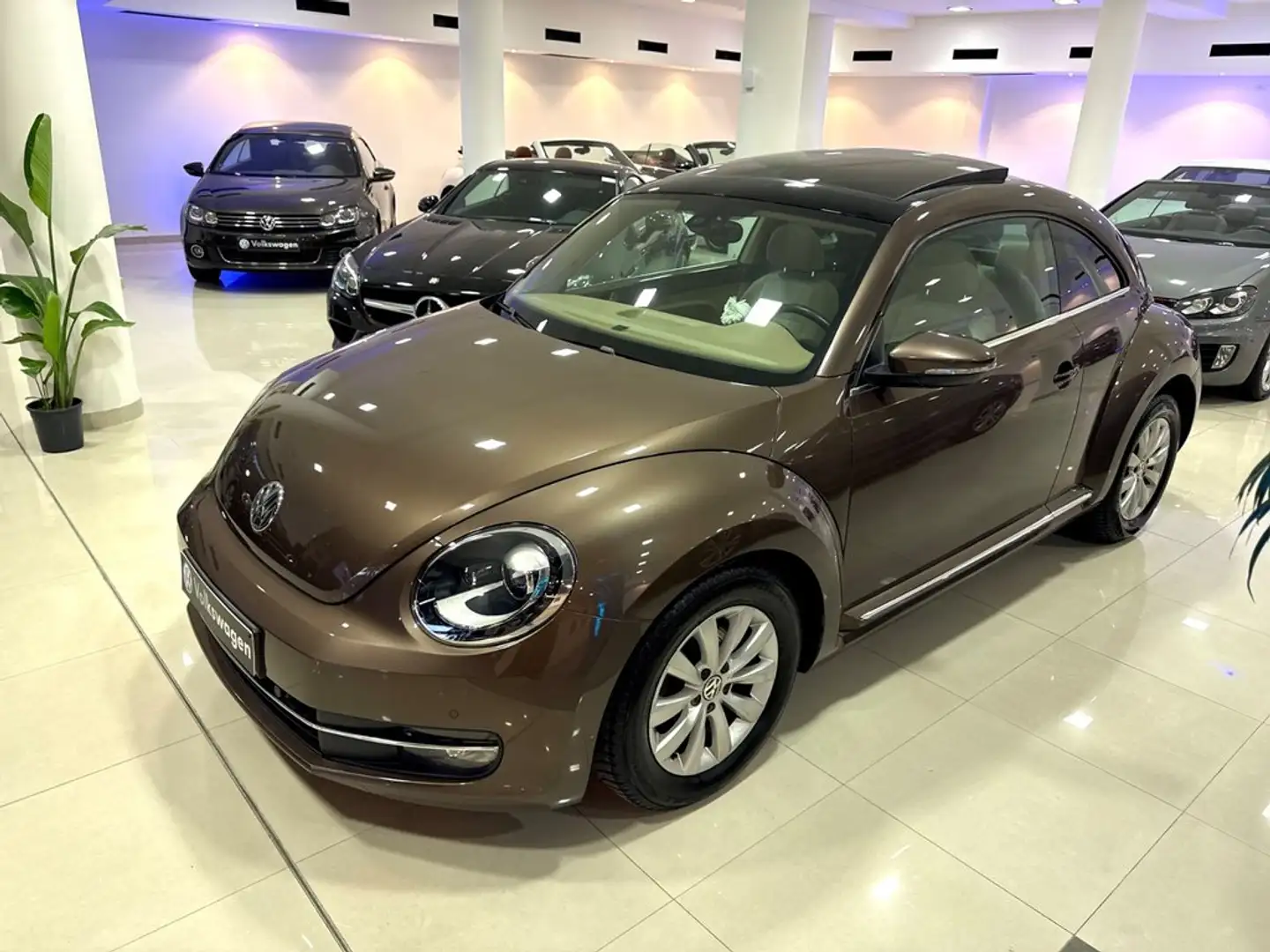 Volkswagen Beetle 2.0 TDI 140cv Design Braun - 1