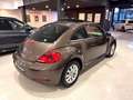 Volkswagen Beetle 2.0 TDI 140cv Design Braun - thumbnail 13