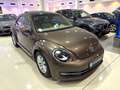 Volkswagen Beetle 2.0 TDI 140cv Design Braun - thumbnail 15