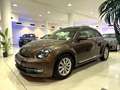 Volkswagen Beetle 2.0 TDI 140cv Design Braun - thumbnail 29