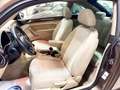 Volkswagen Beetle 2.0 TDI 140cv Design Braun - thumbnail 19
