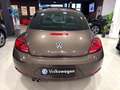 Volkswagen Beetle 2.0 TDI 140cv Design Braun - thumbnail 12