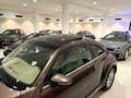 Volkswagen Beetle 2.0 TDI 140cv Design Braun - thumbnail 3