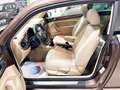 Volkswagen Beetle 2.0 TDI 140cv Design Braun - thumbnail 18