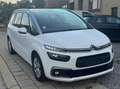 Citroen C4 SpaceTourer C4 Spacetourer 1.5 BlueHDi Live S Biały - thumbnail 3