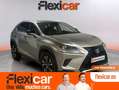 Lexus NX 300 300h Eco 2WD Brun - thumbnail 1