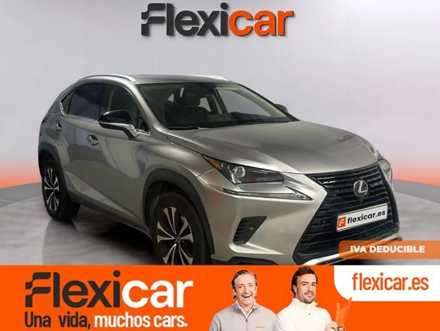 Lexus NX 300 300h Eco 2WD Brun - 1