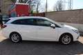 Opel Astra ST 1.5 Business Elegance/01838 Blanc - thumbnail 2