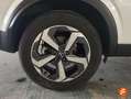 Nissan Qashqai DIG-T 116kW mHEV Xtronic 4x4 N-Connecta Blanc - thumbnail 5