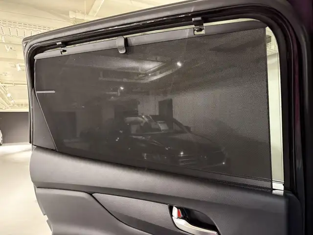 Hyundai Santa Fe view 14