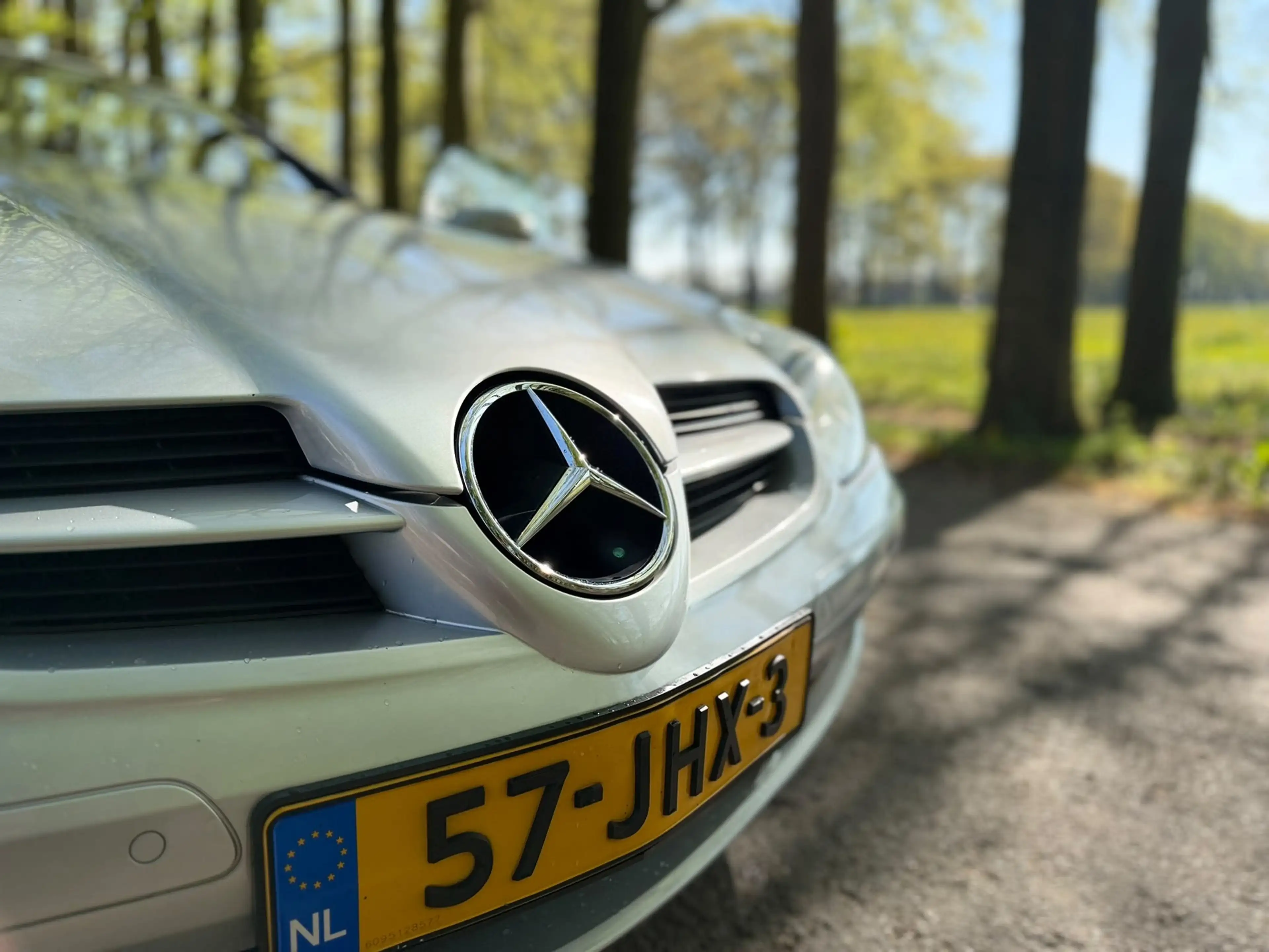 Mercedes-Benz SLK Kompr Roadster AUT 2006 Grijs — photo 9