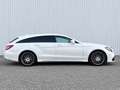 Mercedes-Benz CLS 63 AMG CLS 63 S AMG Shooting Brake Ceramic 4 Matic Weiß - thumbnail 31
