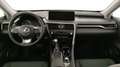 Lexus RX 450h Executive 3.5 hybrid 313 cv Gris - thumbnail 10