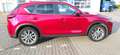 Mazda CX-5 CX-5 SKYACTIV-G 165 KANGEI Rot - thumbnail 10
