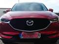 Mazda CX-5 CX-5 SKYACTIV-G 165 KANGEI Rot - thumbnail 6