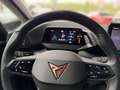 CUPRA Born Cupra - BORN 150 kW (58 kWh) *SOFORT VERFÜGBAR* Blau - thumbnail 14