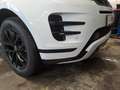 Land Rover Range Rover Evoque D165 Dynamic SE Winterpaket v Weiß - thumbnail 13