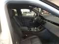 Land Rover Range Rover Evoque D165 Dynamic SE Winterpaket v Weiß - thumbnail 9