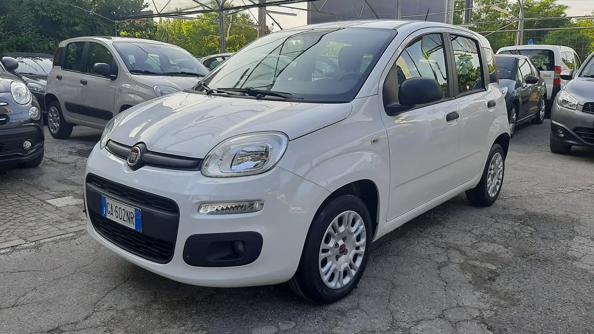 Fiat Panda 1.2 Easy easypower Gpl Bianco - 1