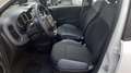 Fiat Panda 1.2 Easy easypower Gpl Blanco - thumbnail 16