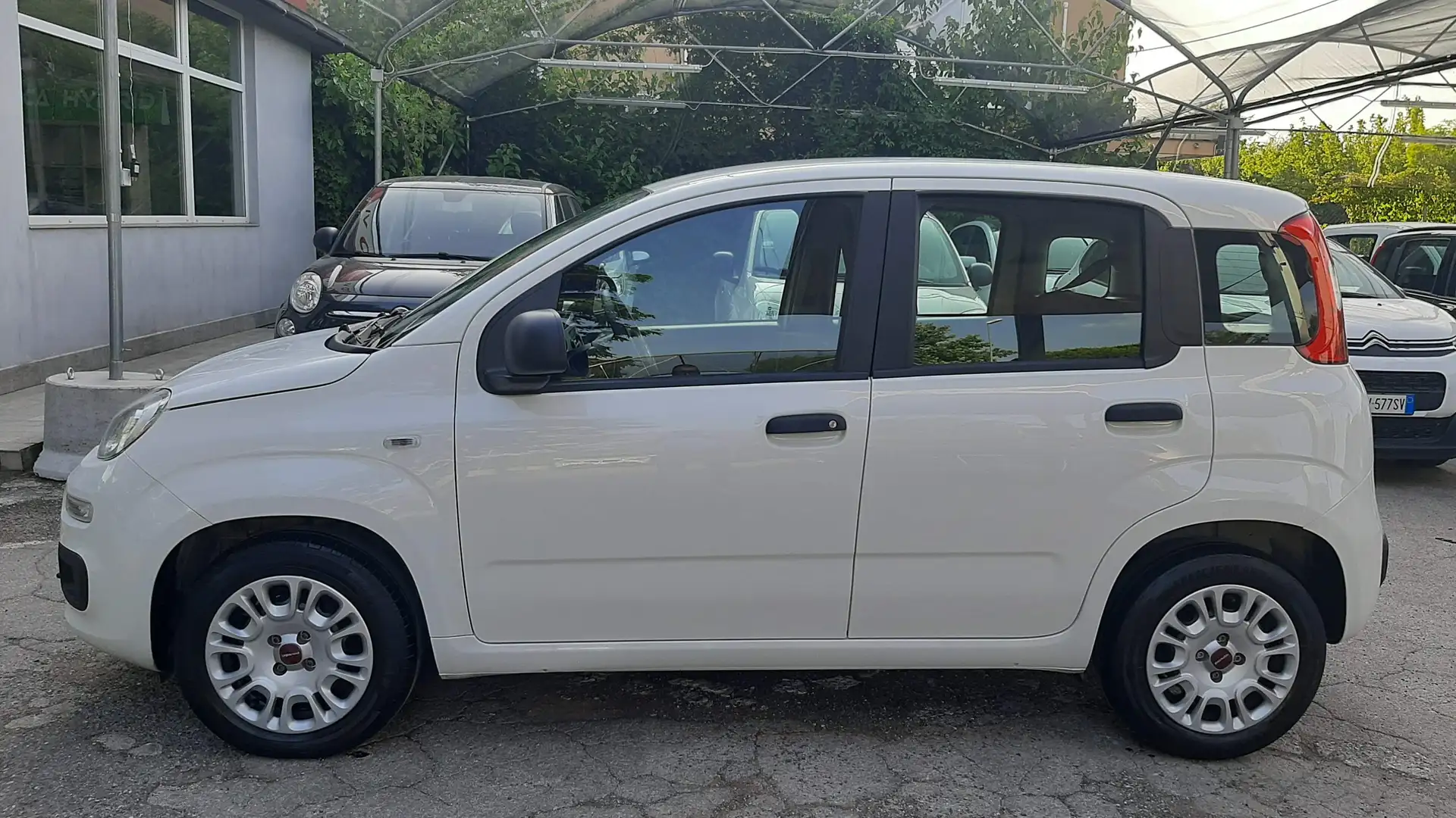 Fiat Panda 1.2 Easy easypower Gpl Bianco - 2